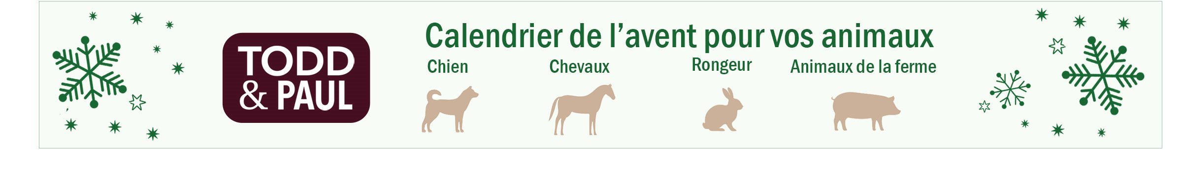 Calendrier de l'avent Todd & Paul 2026